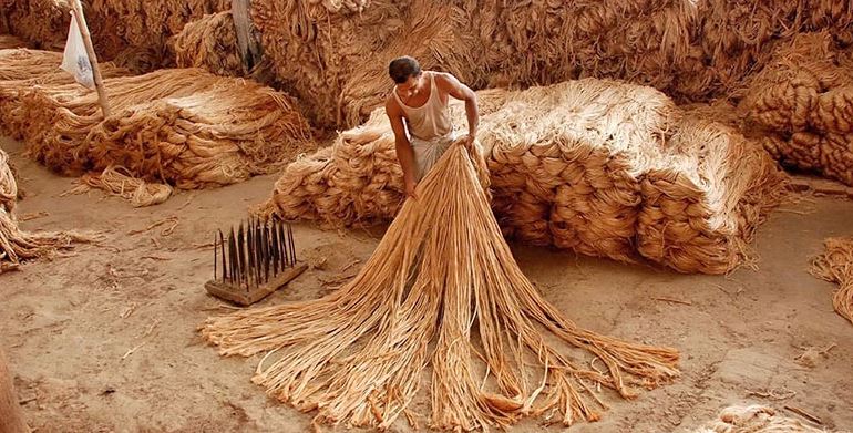 The Role of Jute in the Indian Economy: A Deep Dive into Its Contribution (Author: Pritam Chakraborty)